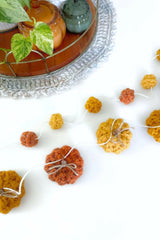 Pumpkin Garland (Crochet)